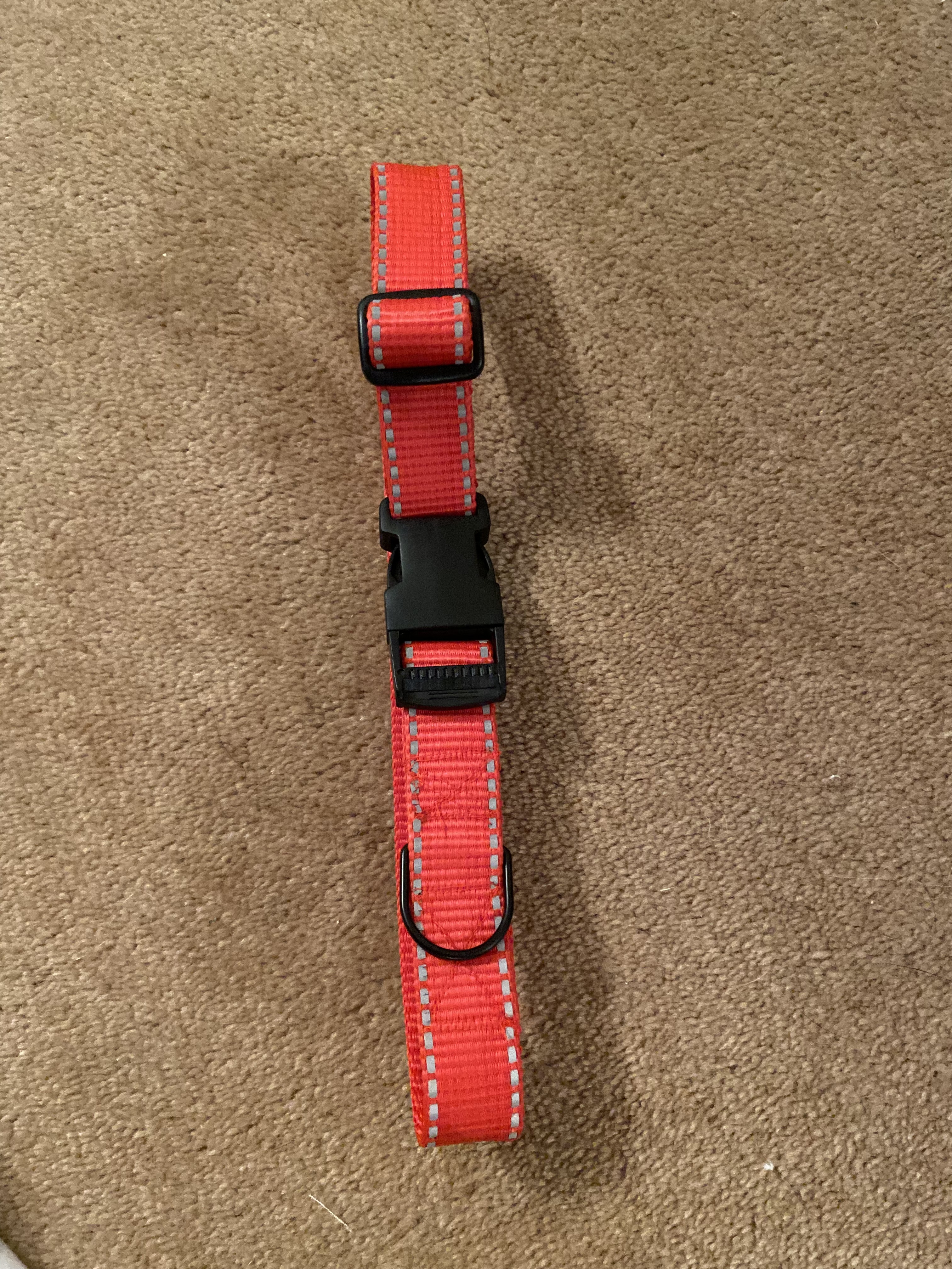 Reflective Red Collar