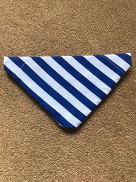 Blue stripe