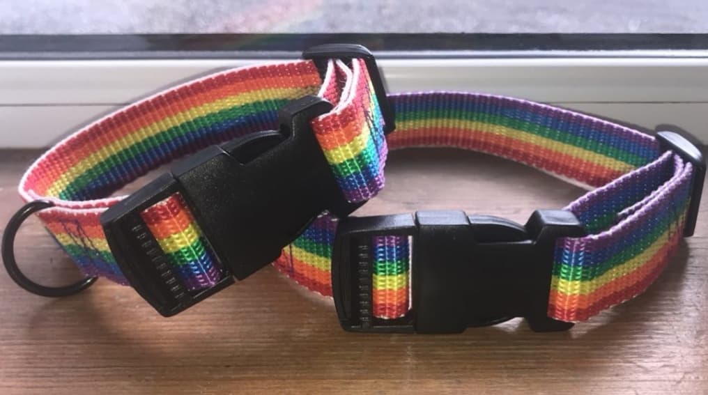 Rainbow Collar