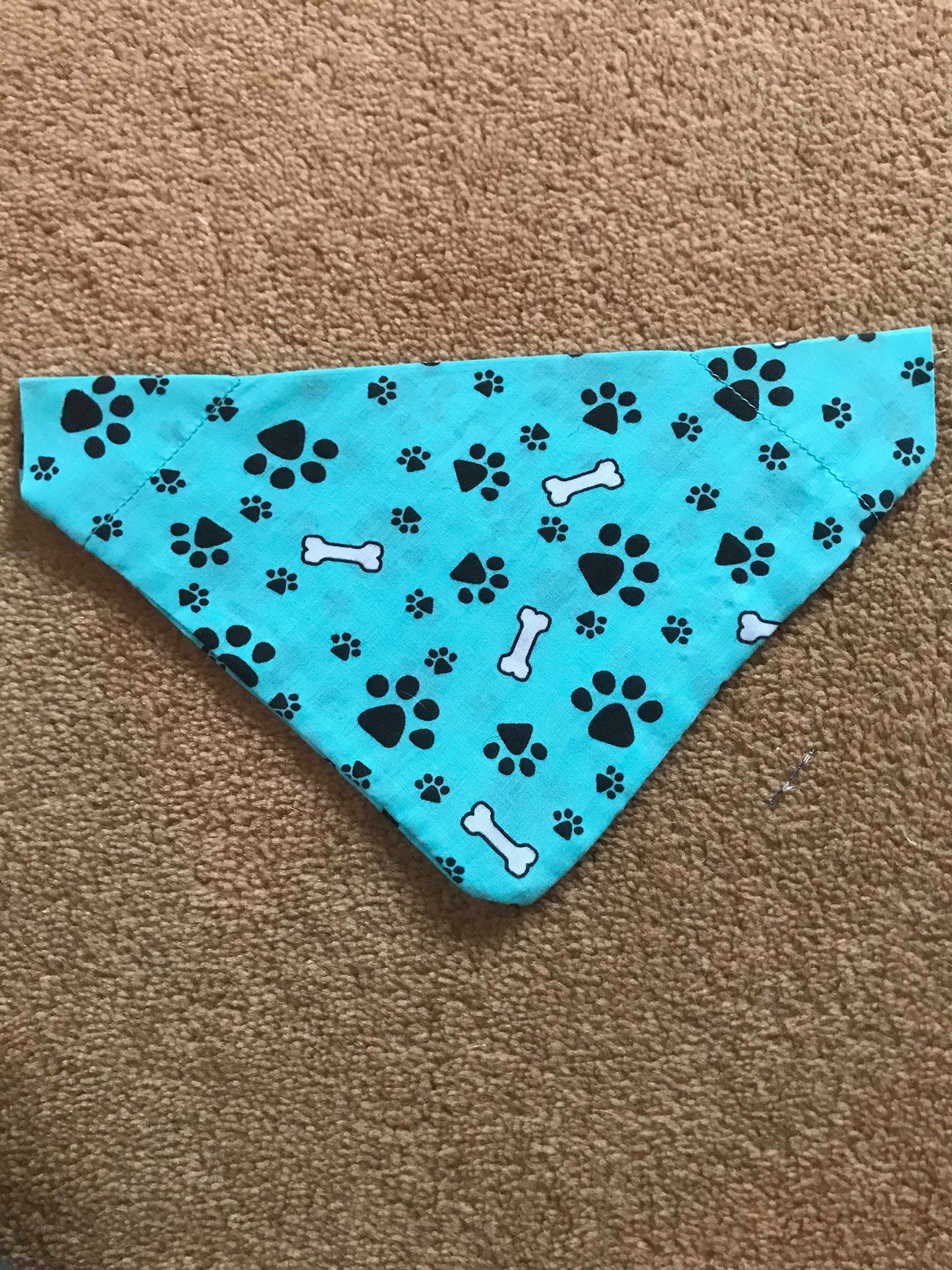 Paw prints on teal